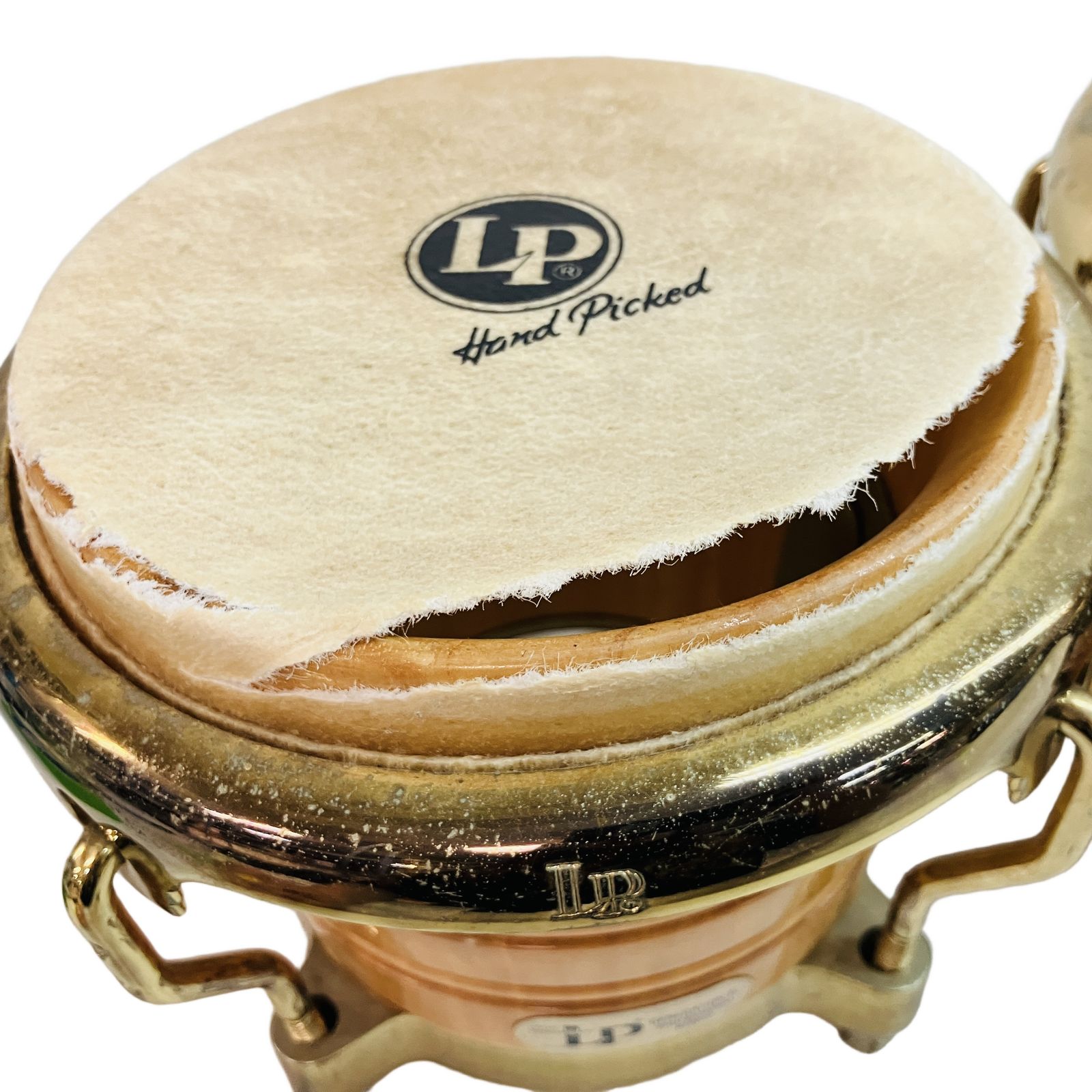 LP GENERATION II LP263A LP264A ボンゴ Latin Percussion ラテン