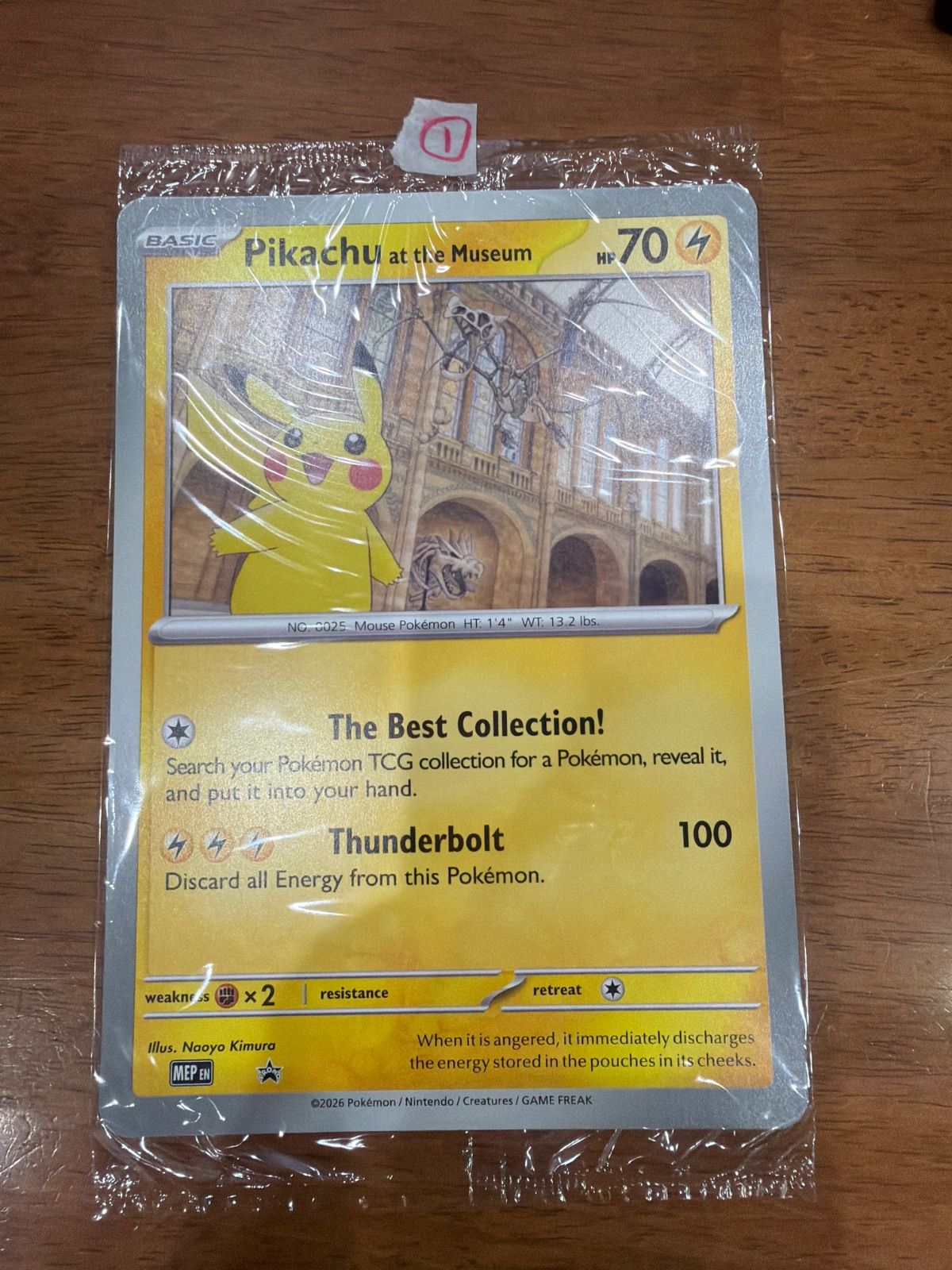 Pikachu at the Museum ロンドン自然史博物館 ピカチュウ F - メルカリ