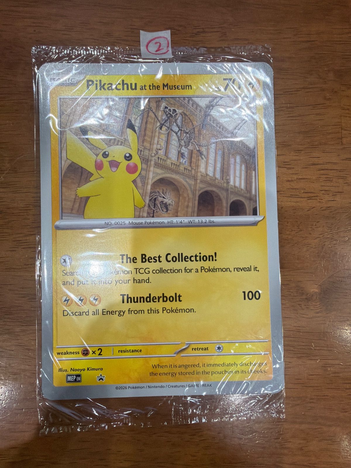 Pikachu at the Museum ロンドン自然史博物館 ピカチュウ F - メルカリ