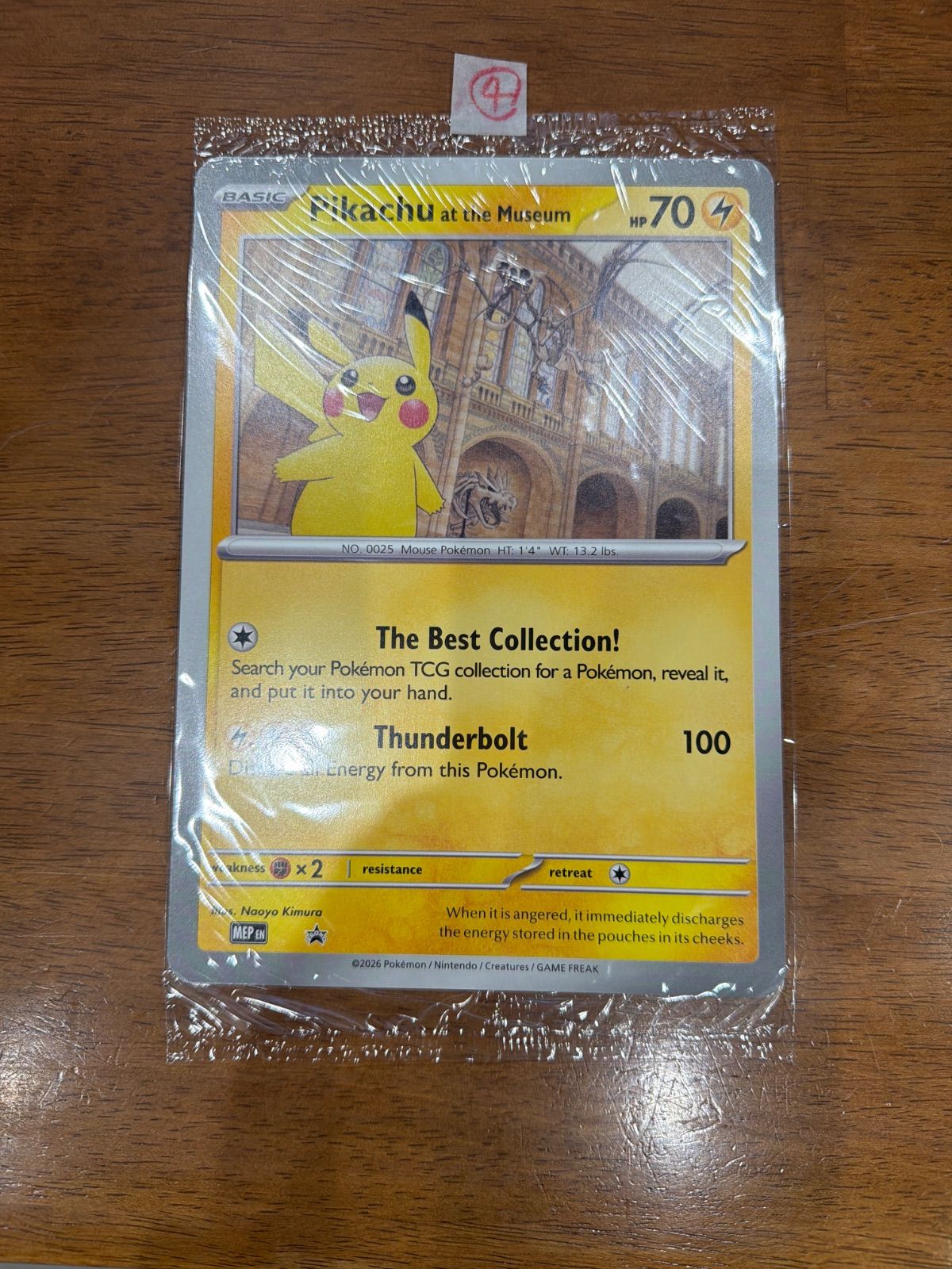 Pikachu at the Museum ロンドン自然史博物館 ピカチュウ F - メルカリ