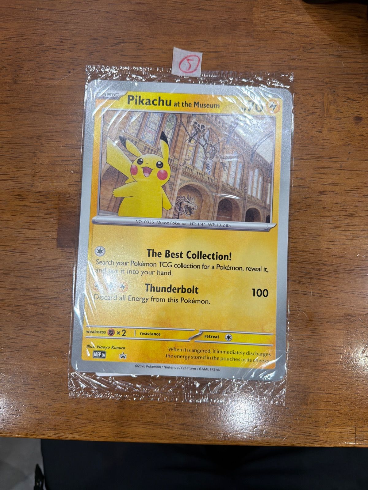 Pikachu at the Museum ロンドン自然史博物館 ピカチュウ F - メルカリ
