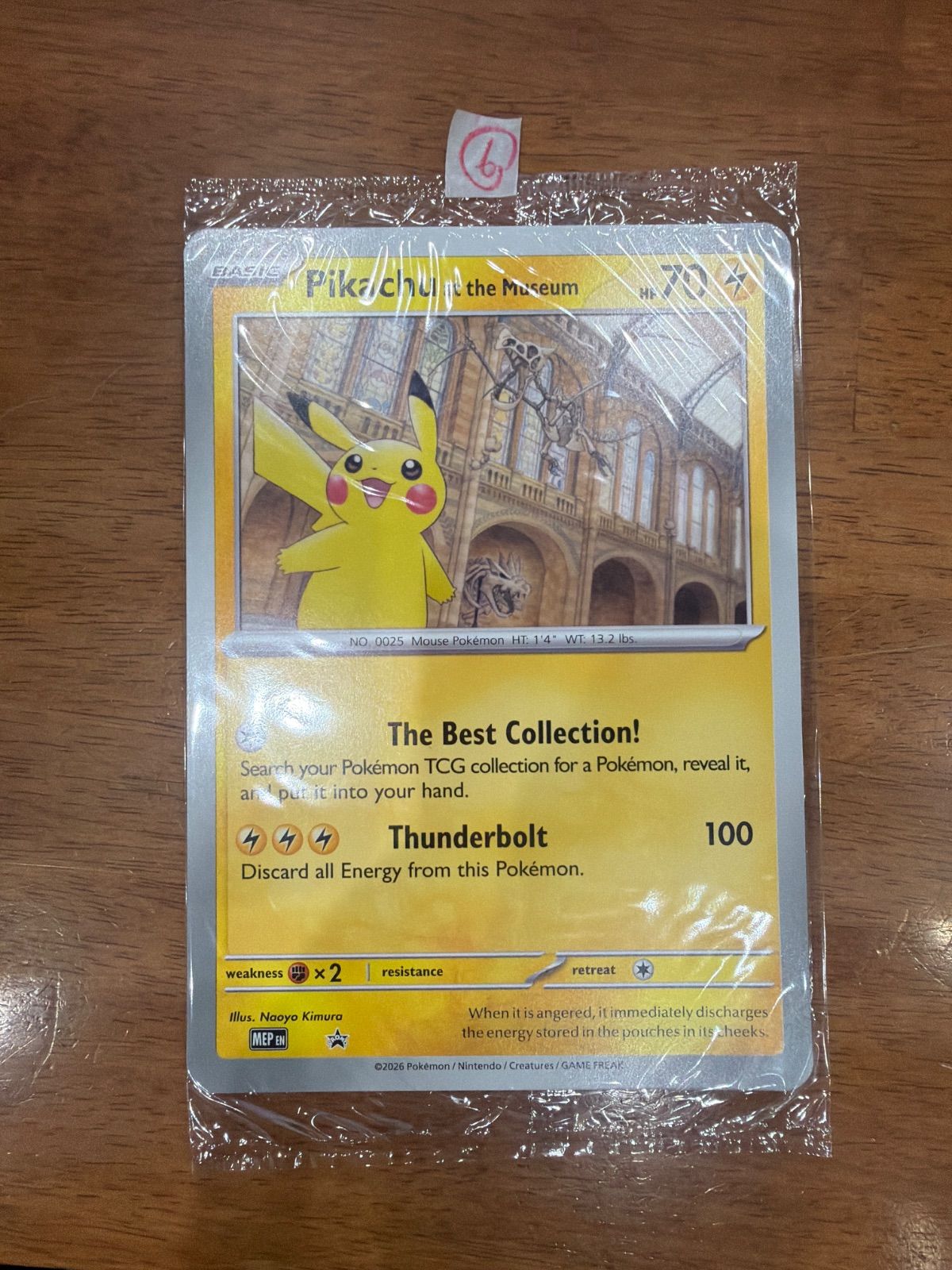 Pikachu at the Museum ロンドン自然史博物館 ピカチュウ F - メルカリ