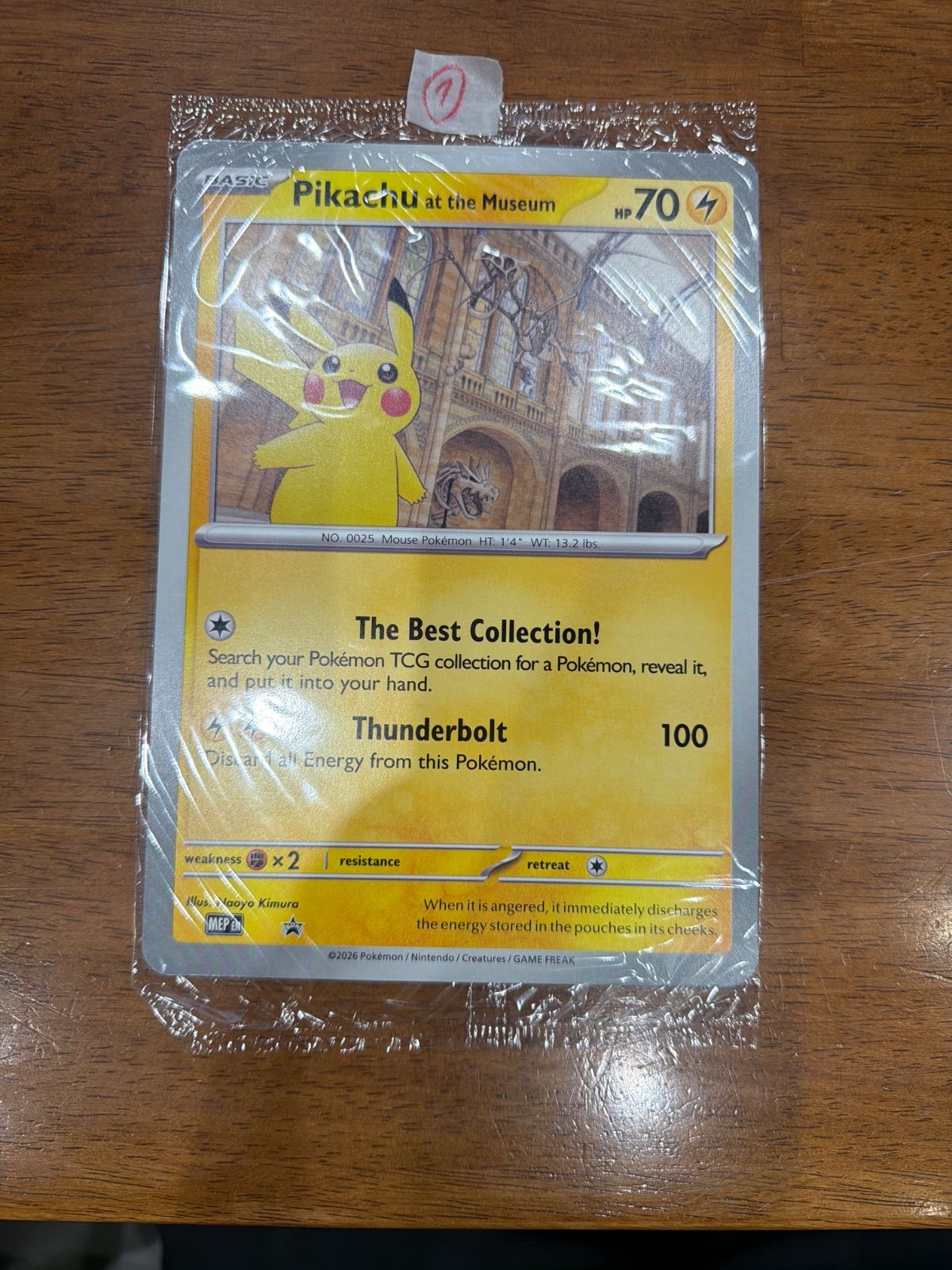 Pikachu at the Museum ロンドン自然史博物館 ピカチュウ F - メルカリ