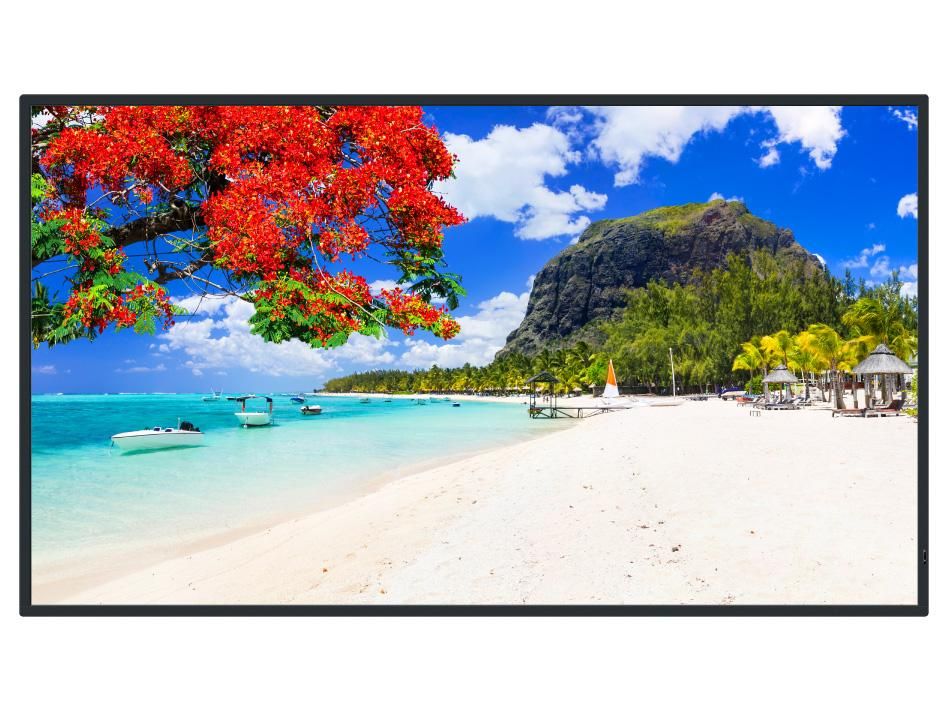 【新品・2営業日で発送】PANASONIC パナソニック 55V型4Kスタンダード液晶ディスプレイ(TH-55SQ2HJ)