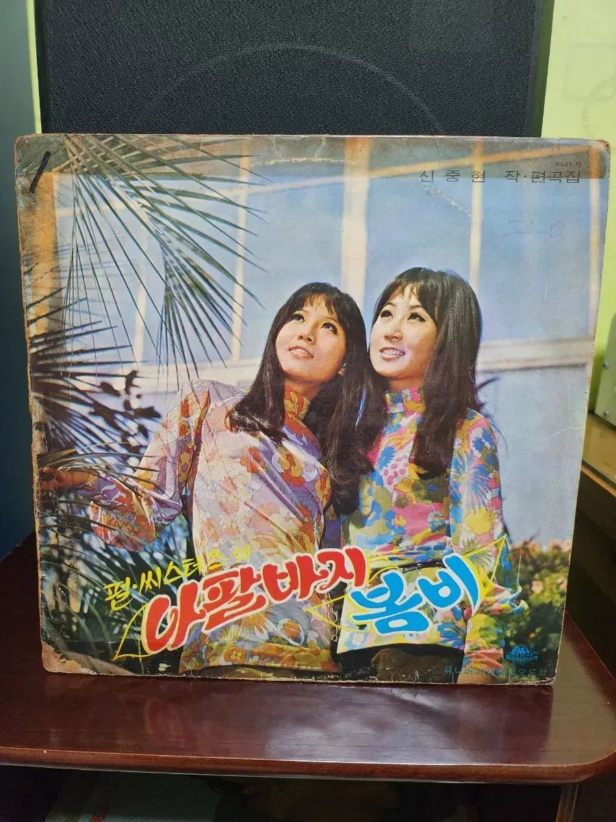 パルス・シスターズ トランペットパンツ 春雨 lp