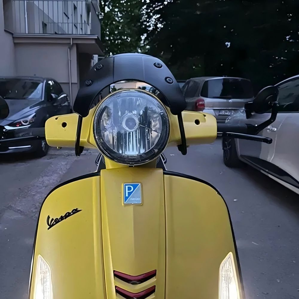 【送料無料】ベスパ(Vespa) GTS300/Super 2018-2022専用 フロントウインドシールド(風防スクリーン) ABS製 ブラック/グレー/シルバー 防風・耐衝撃・メーター保護 スタイリッシュな外観 簡単取付 高耐久高品質 ドレスアップ効果抜群 【送料無料】ベスパ(Vespa) GTS300/Super 2018-2022専用 フロントウインドシールド(風防スクリーン) ABS製 ブラック/グレー/シルバー 防風・耐衝撃・メーター保護 スタイリッシュな外観 簡単取付 高耐久高品質 ドレスアップ効果抜群