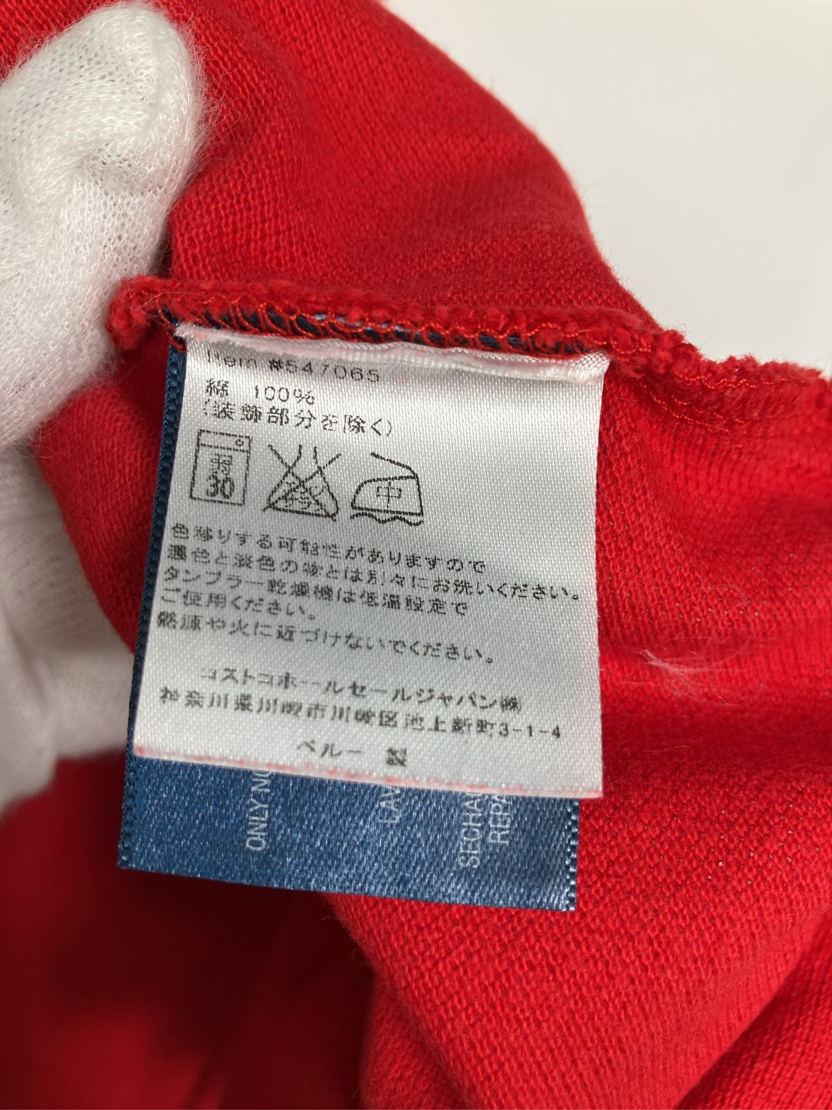 Polo by Ralph Lauren ポロバイラルフローレン ポロシャツ L (14-16) レッド 無地 ワンポイント ブランドロゴ 刺繍 半袖 Polo by Ralph Lauren ポロバイラルフローレン ポロシャツ L (14-16) レッド 無地 ワンポイント ブランドロゴ 刺繍 半袖