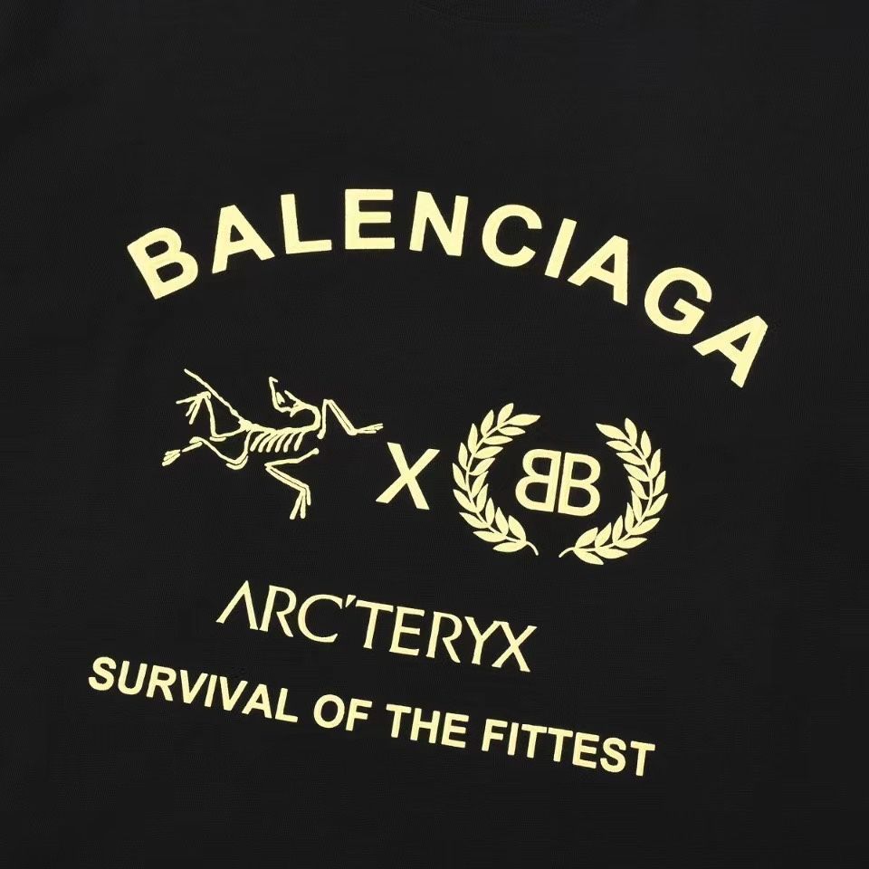 【本日限定特価】Balenciaga × 始祖鳥 コラボ ロングスリーブTシャツ [本日特価|新品未使用品]