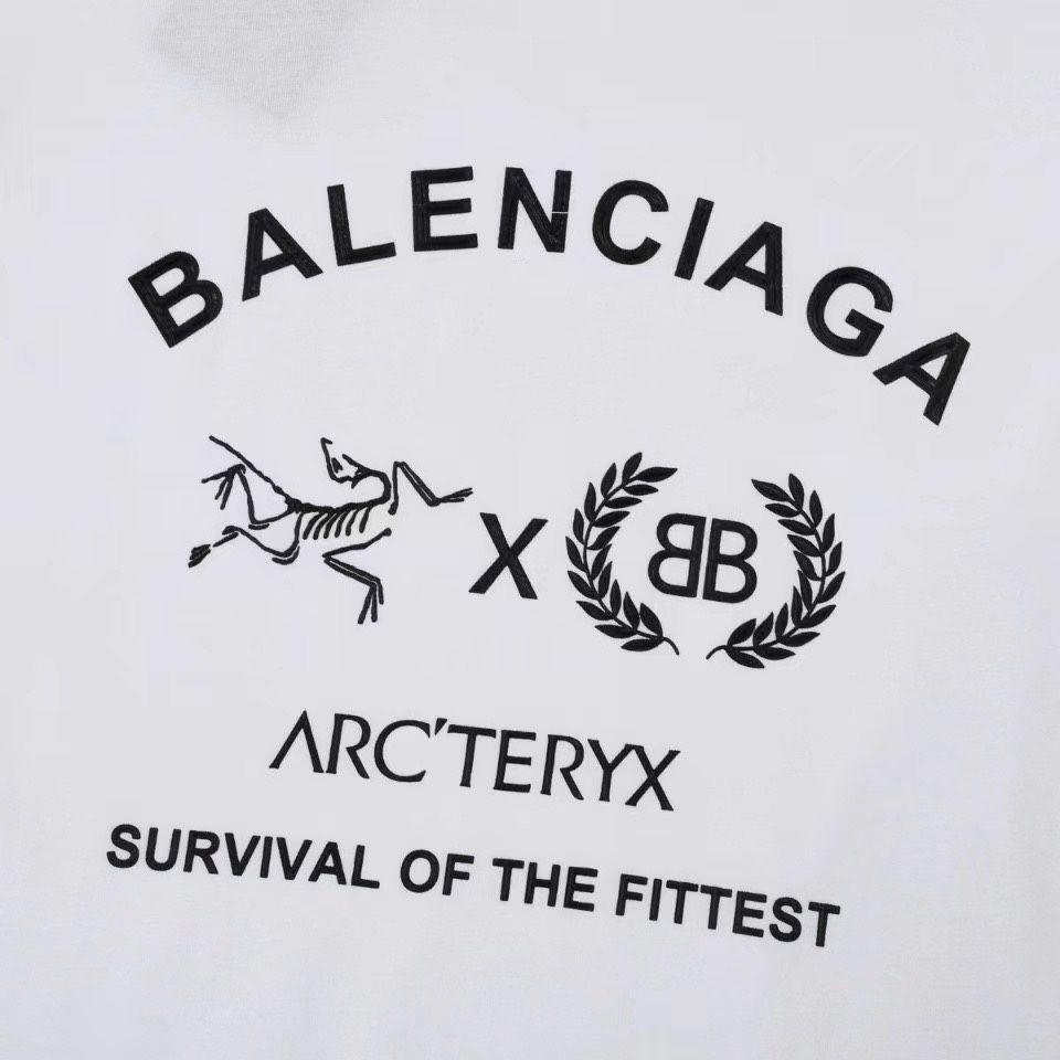【本日限定特価】Balenciaga × 始祖鳥 コラボ ロングスリーブTシャツ [本日特価|新品未使用品]