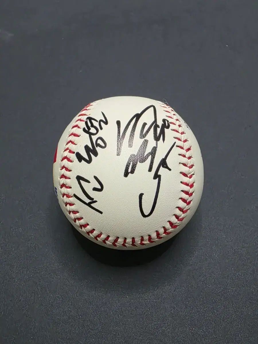 WBC記念球 ソン・ドンヨル サインボール 8,412円