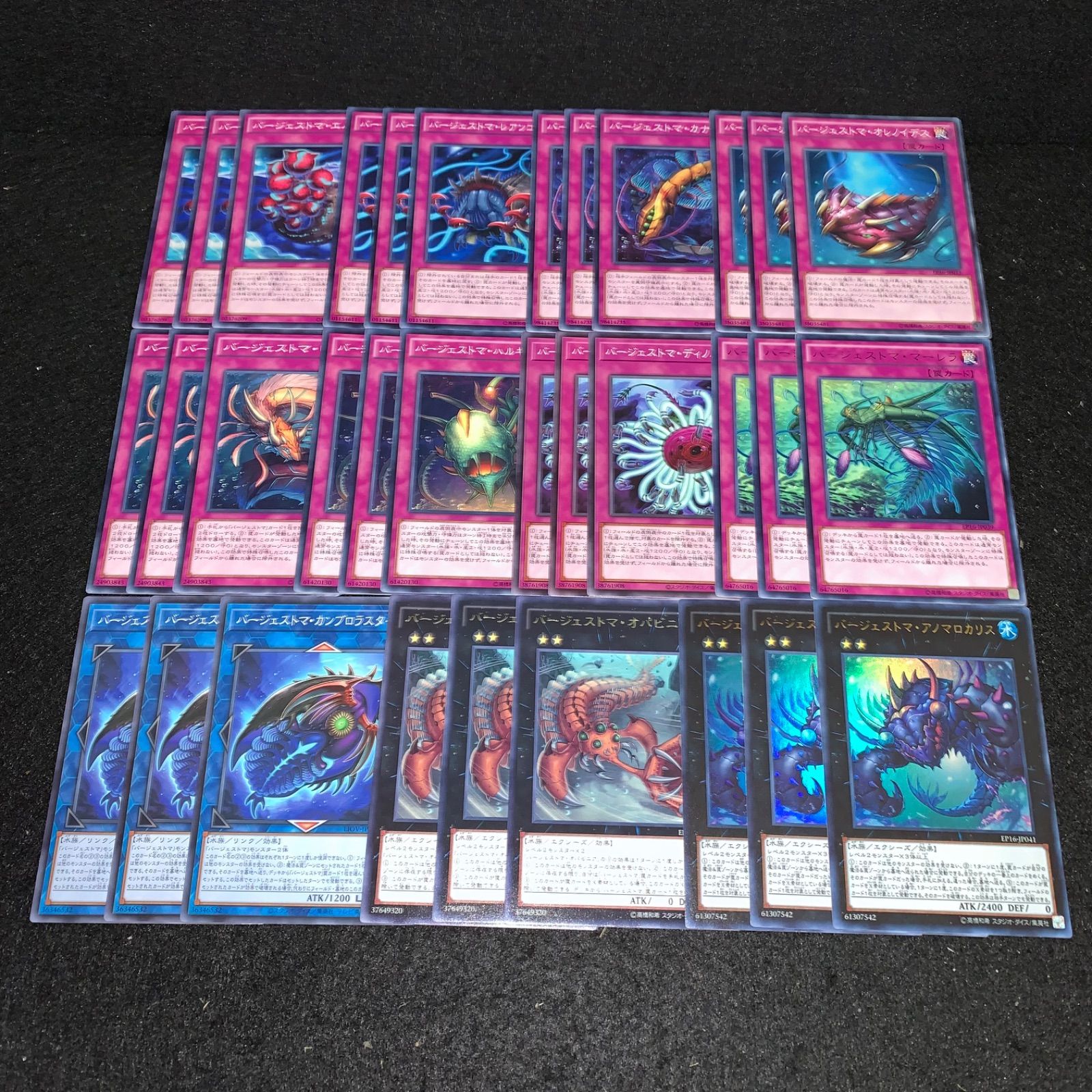 遊戯王 KYP789 バージェストマデッキ バージェストマアノマロカリス