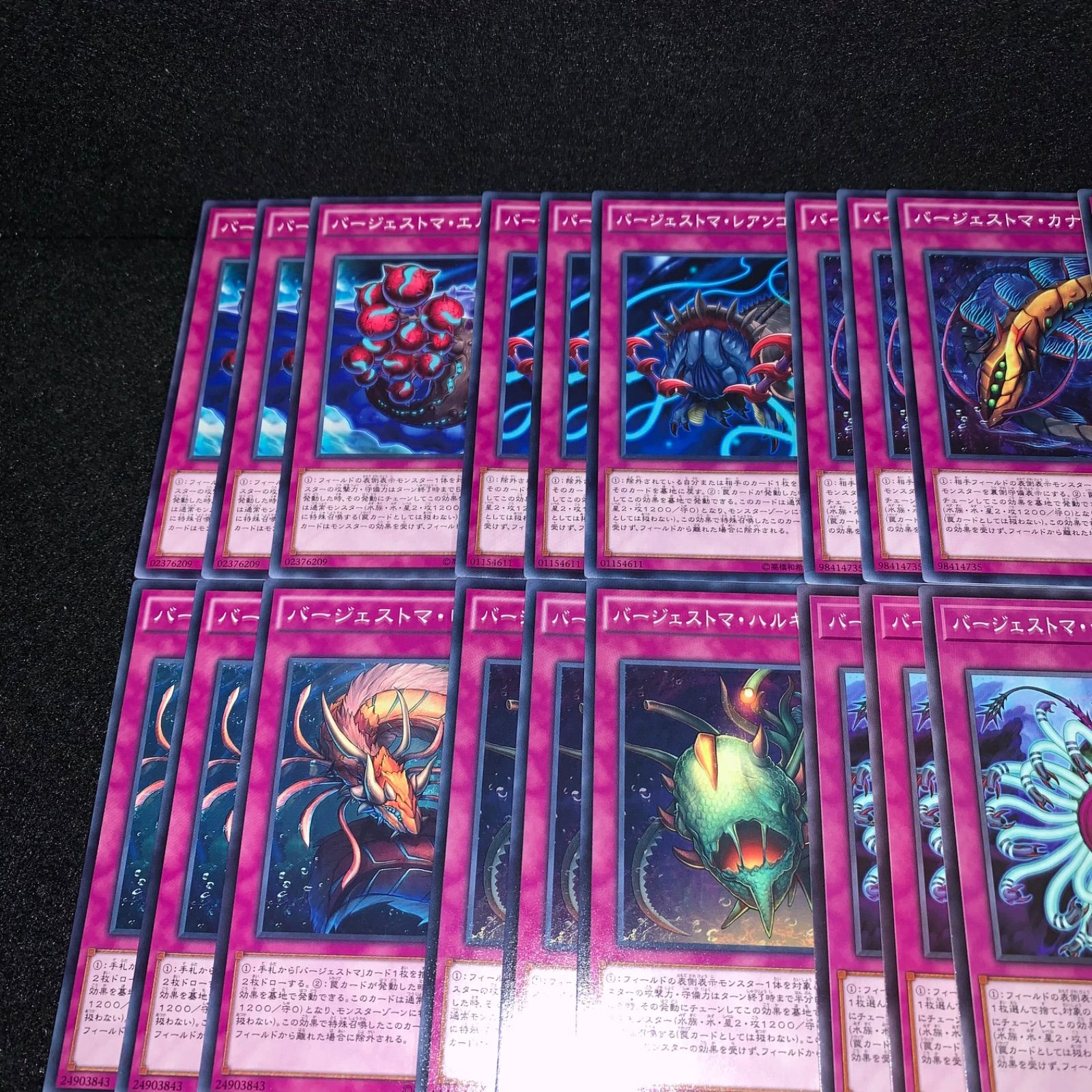 遊戯王 KYP789 バージェストマデッキ バージェストマアノマロカリス