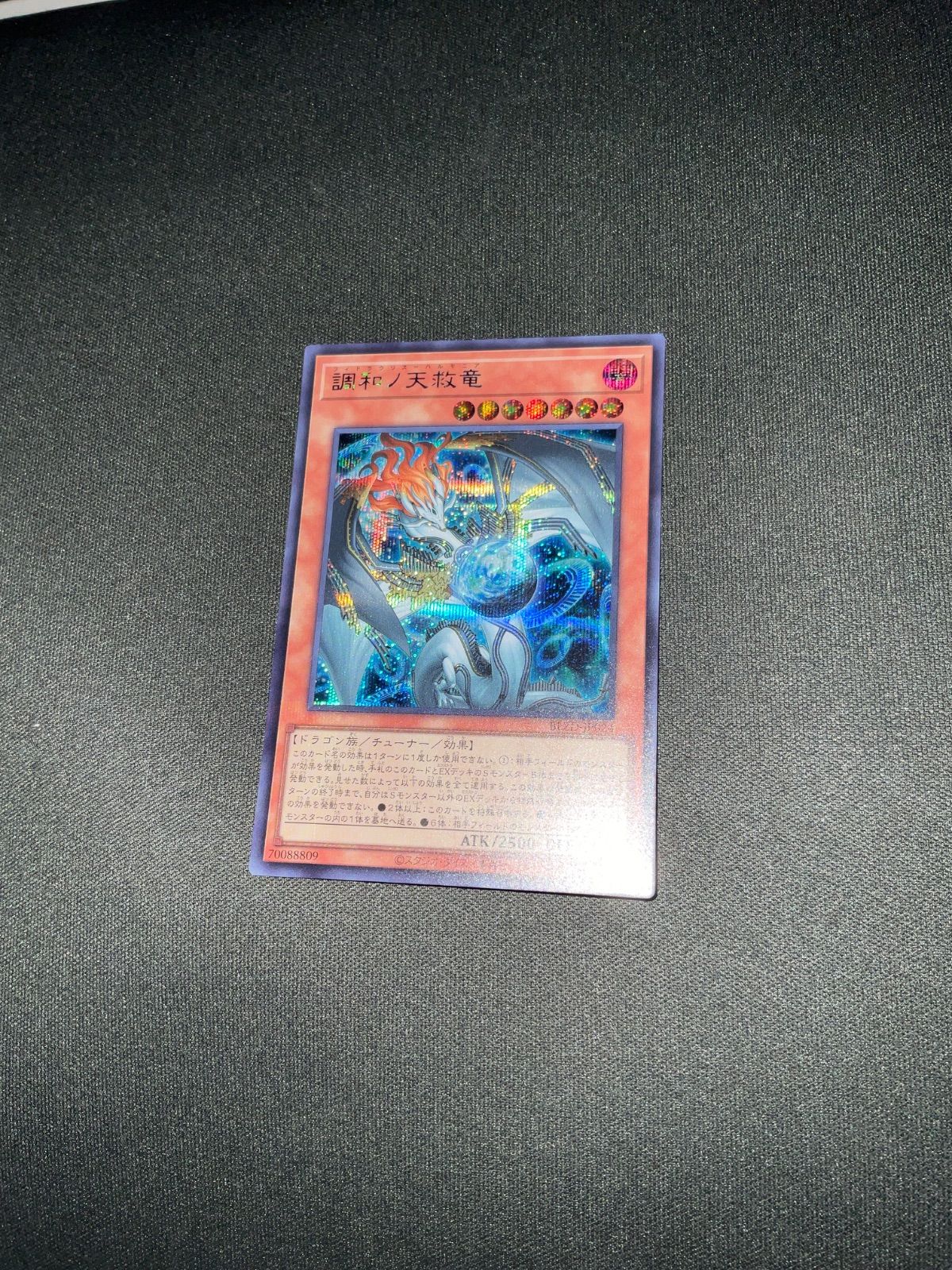遊戯王 調和ノ天救竜 シークレット 遊戯王 ハルモニア シークレット