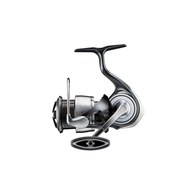 ダイワ(DAIWA) スピニングリール 24セルテ-ト LT2500 (2024年モデル)