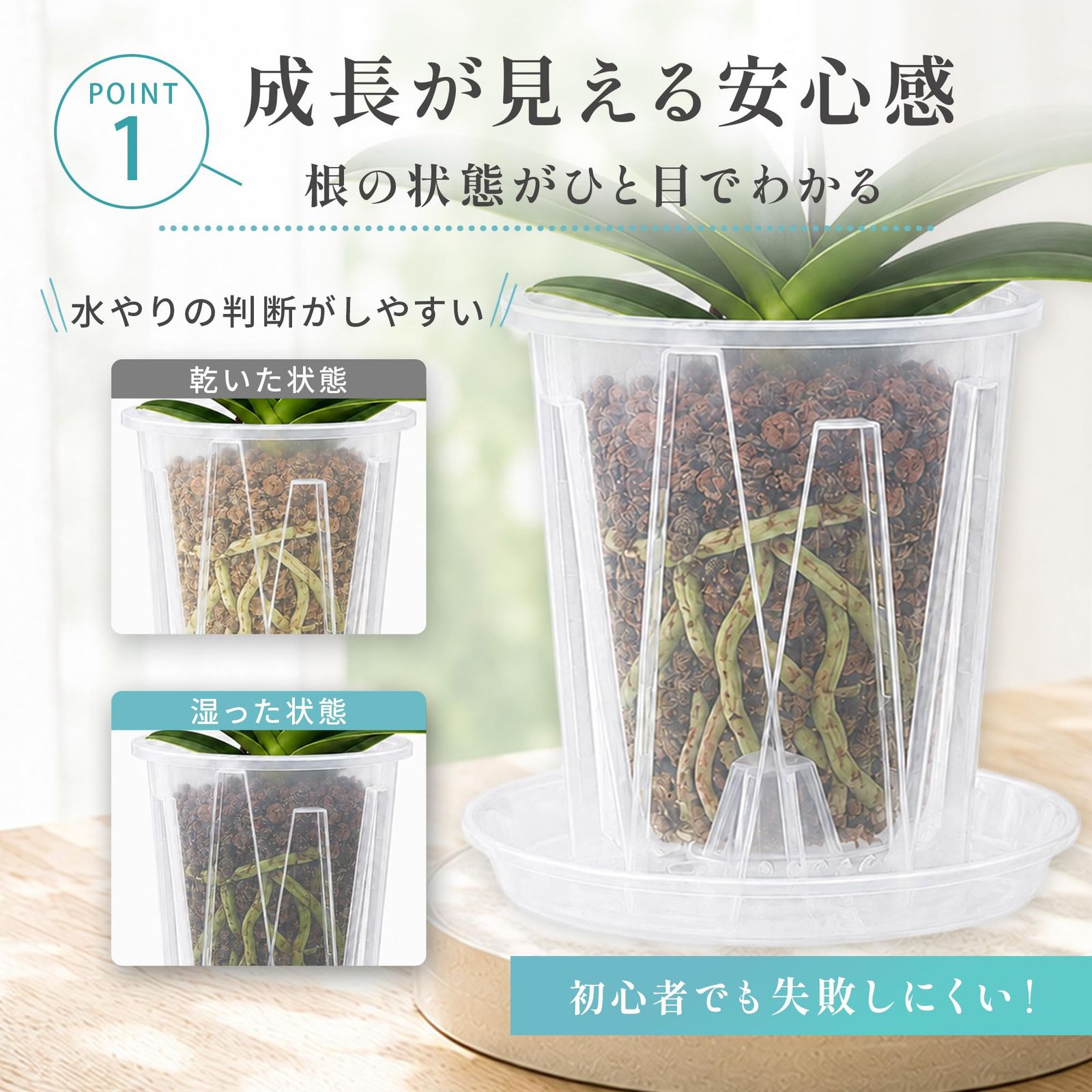 CHASO 透明鉢 6個セット 植木鉢 クリア プラスチック スリ  ト鉢 胡蝶蘭 