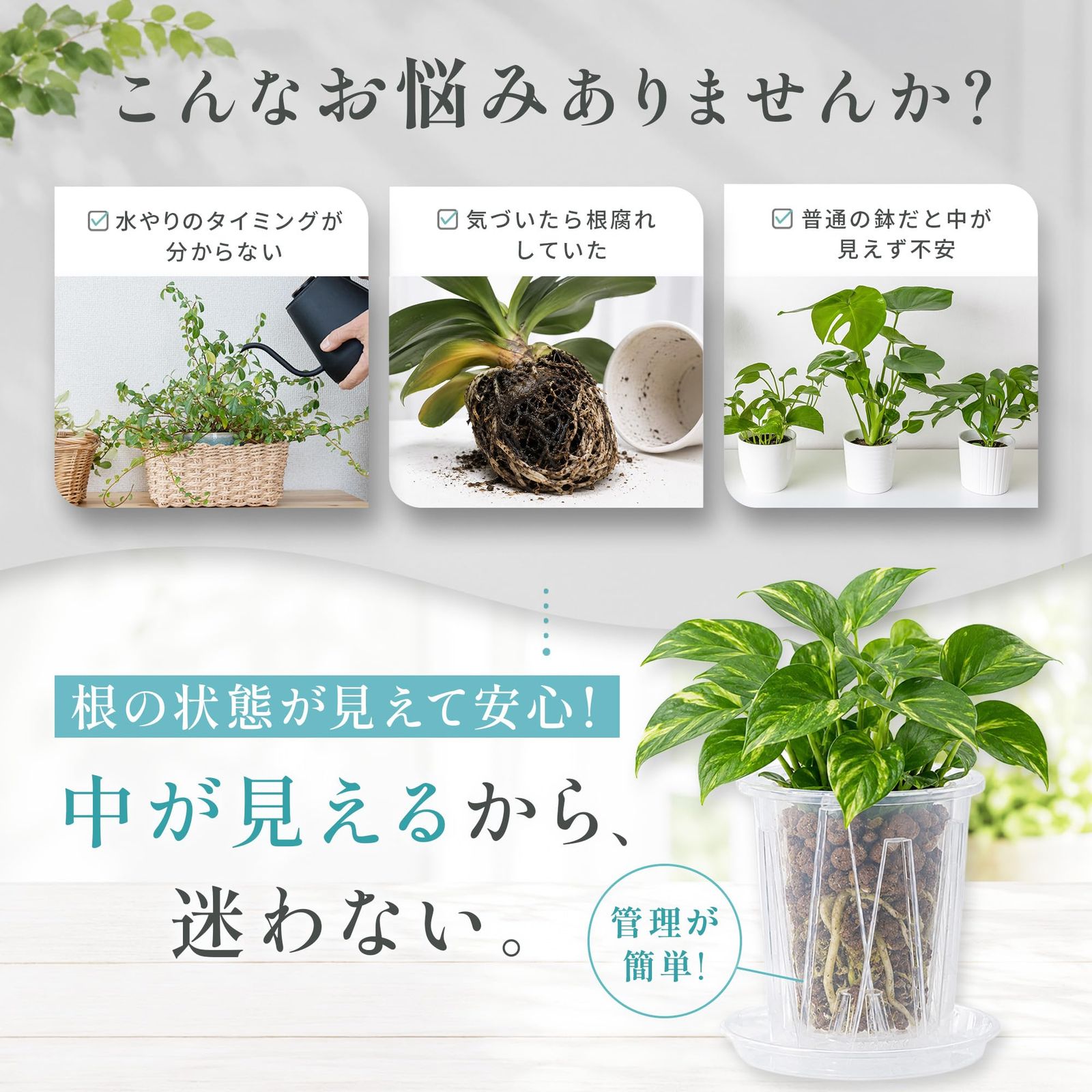 CHASO 透明鉢 6個セット 植木鉢 クリア プラスチック スリ  ト鉢 胡蝶蘭 