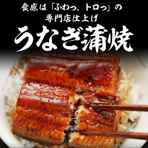 松屋 カット鰻15人前
