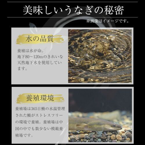 松屋 カット鰻15人前