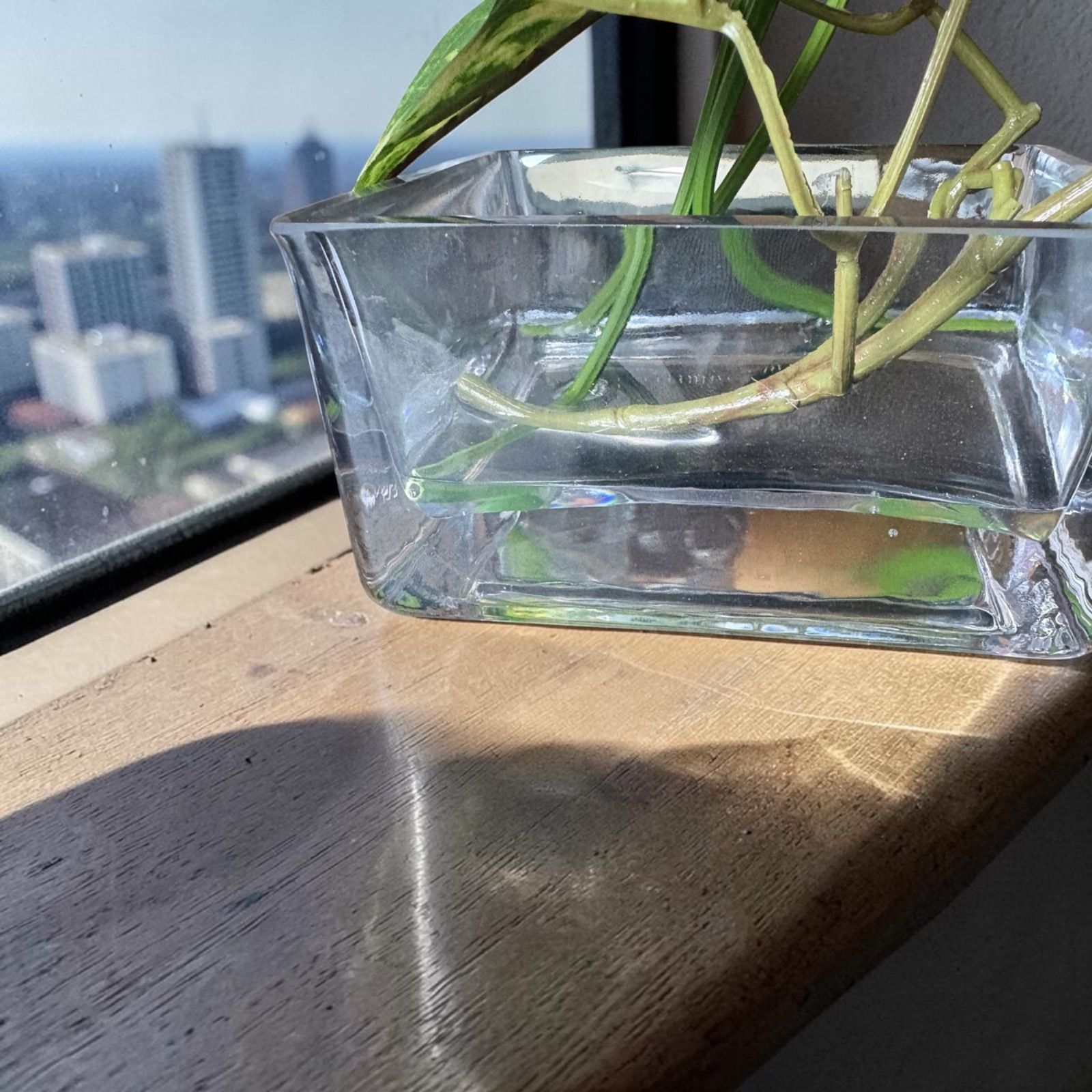 光触媒 人工観葉植物 ウォールグリーン フェイクグリーン マジカル