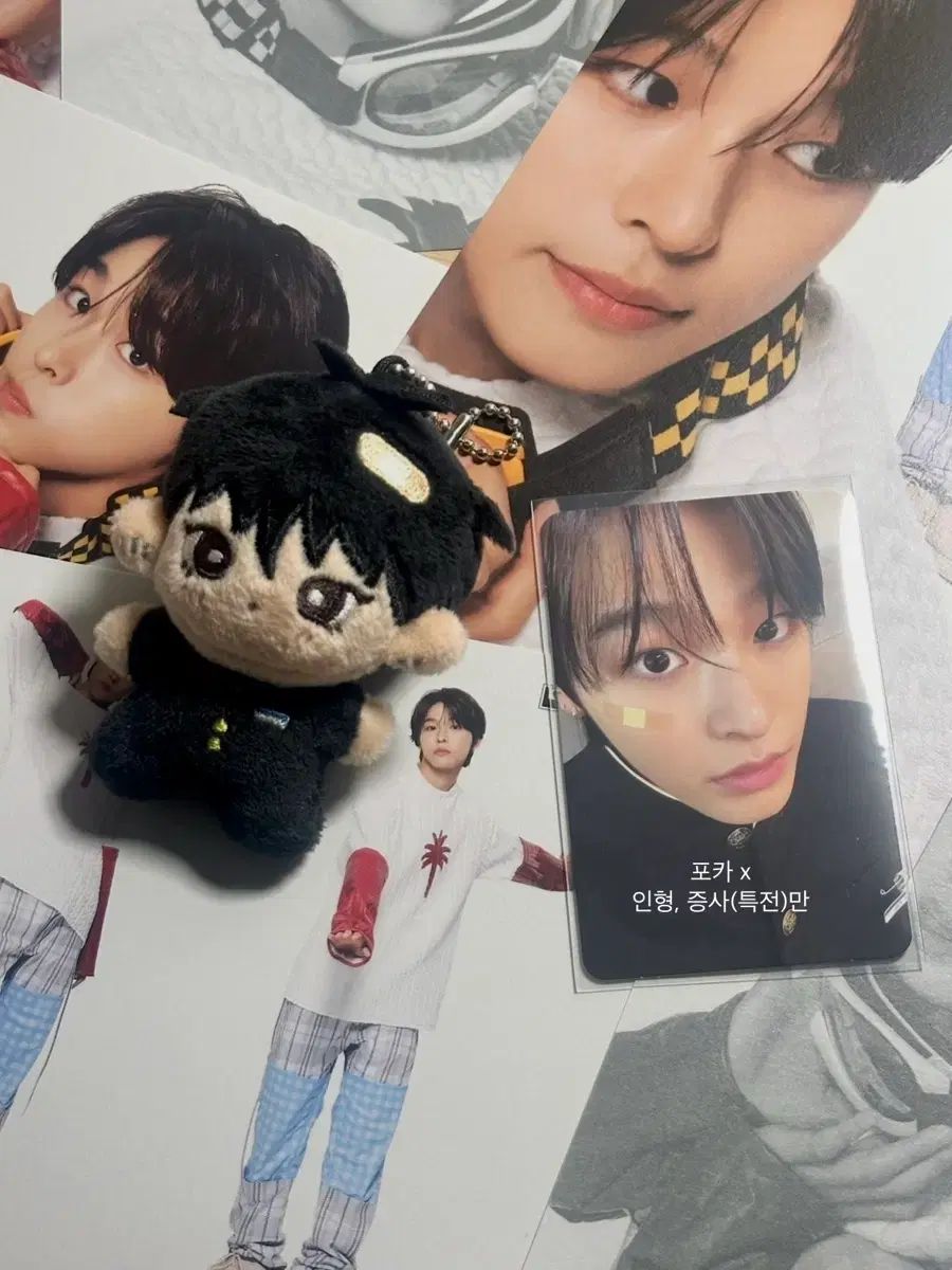 NCT WISH リク マエダくん ぬいぐるみ 7,389円
