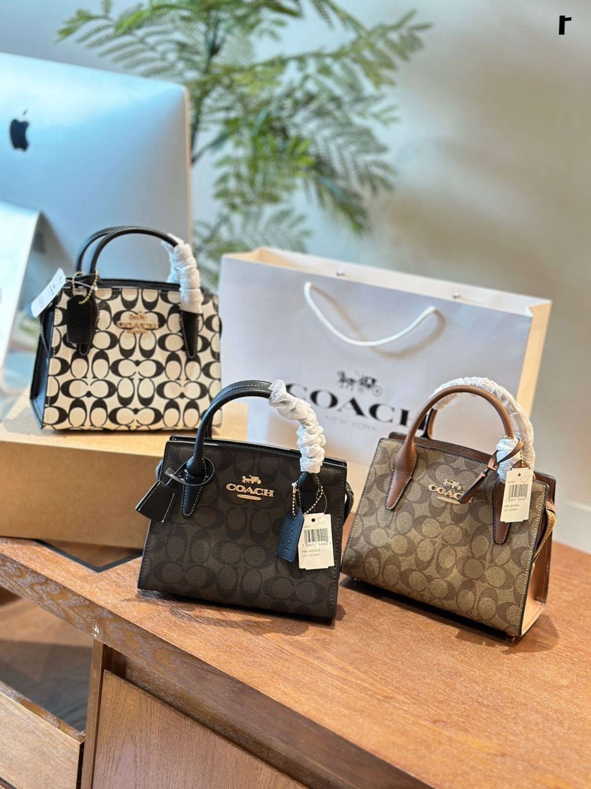 【今日特価】Andrea Ladies Handbag アンデレア レディース ハンドバッグ/ 斜め掛け 2024 春夏新作