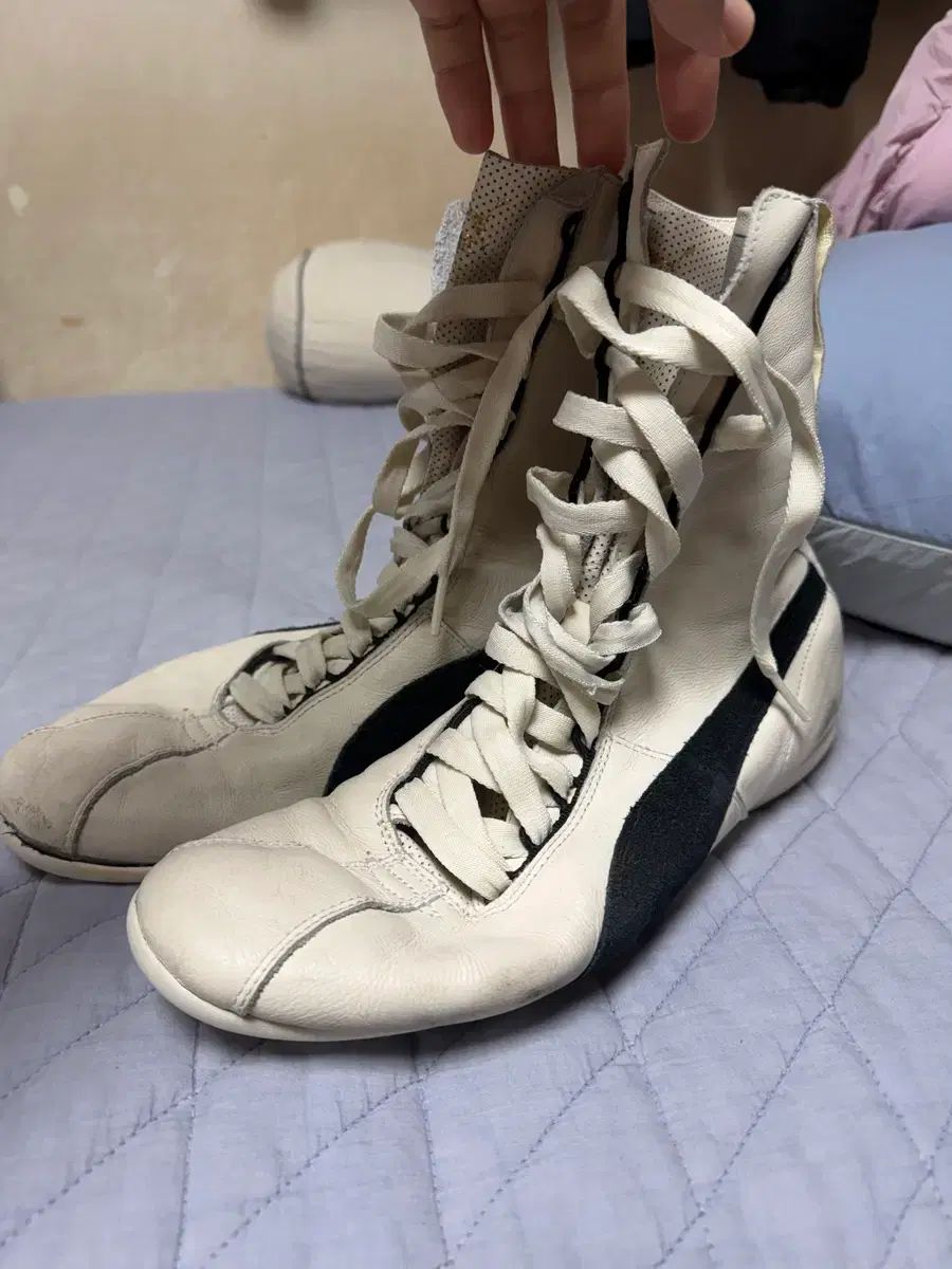 PUMA ボクシング シューズ 出品