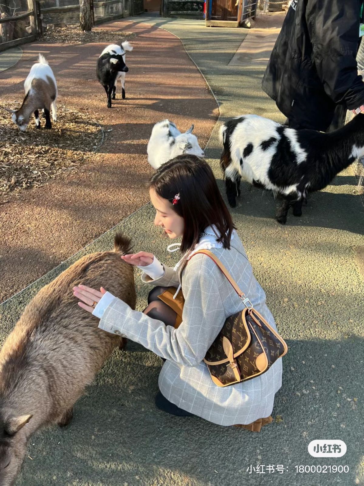 【今日特価】LV ジップ付き Diane ハンドバッグ 送料無料!在庫限定価格-WT0輸入-WT0輸入1 【今日特価】LV ジップ付き Diane ハンドバッグ 送料無料!在庫限定価格-WT0輸入-WT0輸入1