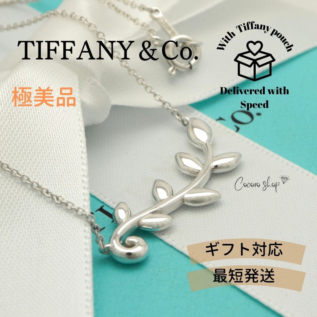 【極美品】ティファニー TIFFANY&Co. オリーブ リーフ ヴァイン パロマピカソ ネックレス AG925