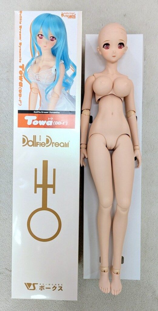 ボークス DDdy スタンダードモデル トワ(DD-f3)
