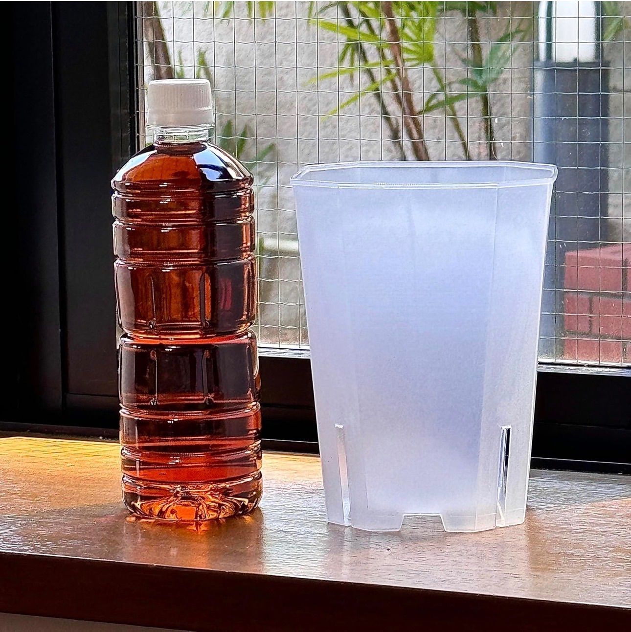 Lサイズ30個セット　透明植木鉢　多肉植物　ハオルチア　専用鉢　植木鉢　簡易プラ鉢　通気性が良い　根腐れを防止