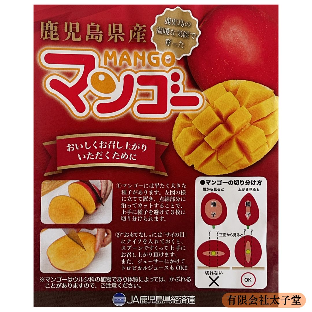 鹿児島県産 ご家庭用 完熟マンゴー2L 6玉 完熟マンゴー 鹿児島県産 2玉