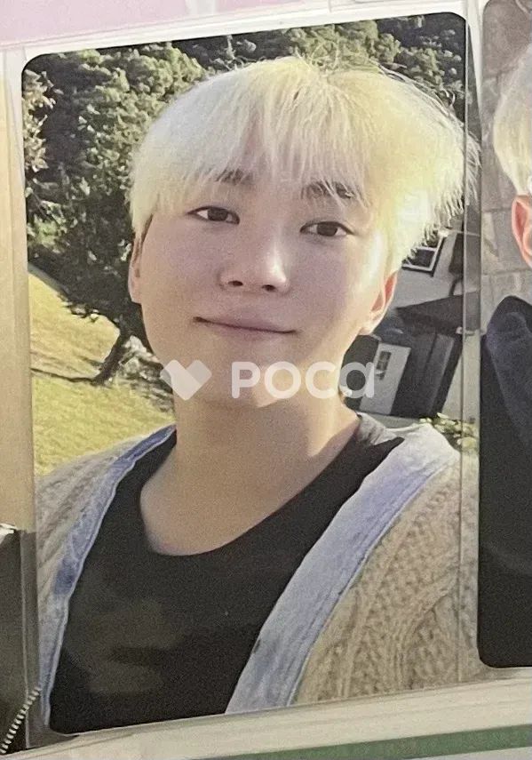 Seventeen スングァン セブチ IN THE SOOP SEVENTEEN ver. Season2