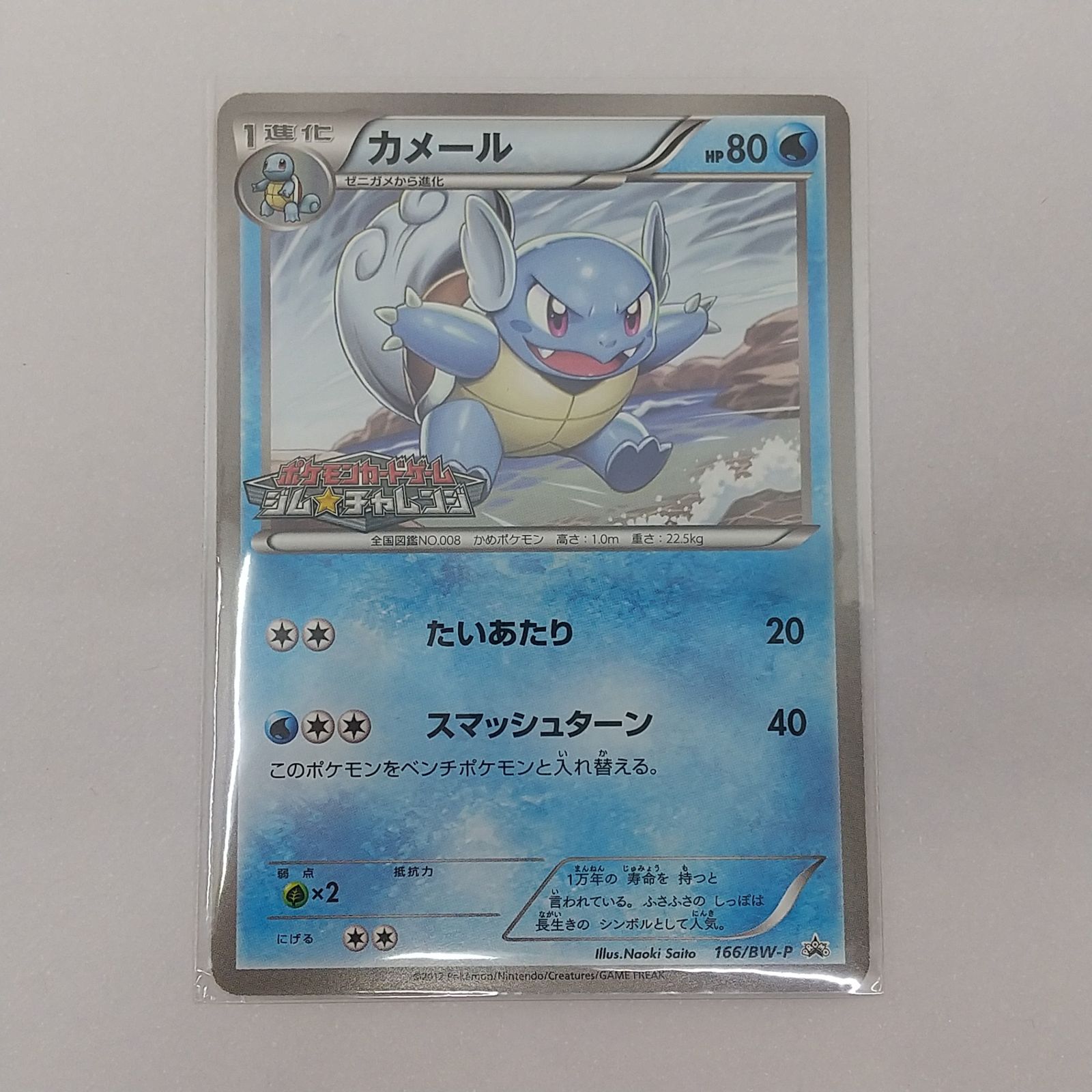 ポケカ カメール プロモ[P] 166/BW-P ポケモンカード トレカ