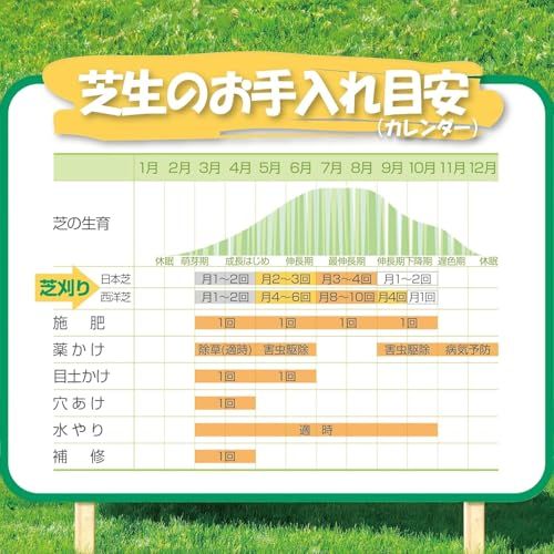 ☆新品☆大進 手動 芝刈り機 自動調整刃 4939736702048 DGM-H200R 園芸 ガーデニング 農業 女性 快適 お手軽 庭 農作業 家庭菜園 シバ コンパクト リール式 静かな 広範囲 安全 手押し 草刈機 道具 軽量 軽い 37c0c065