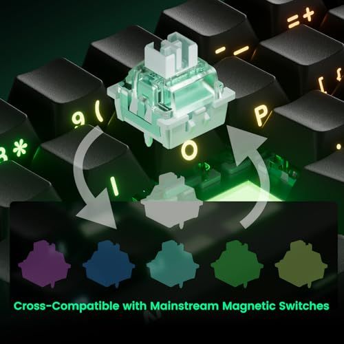 ☆新品☆【国内正規品】MonsGeek(モンスギーク) FUN60 Pro SP 有線モデル HEセンサー 0.01mm ラピッドトリガー対応 磁気スイッチ Akko Glare Magnetic Switch 英語配列 テンキーレス サイド ad099727