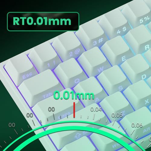 ☆新品☆【国内正規品】MonsGeek(モンスギーク) FUN60 Pro SP 有線モデル HEセンサー 0.01mm ラピッドトリガー対応 磁気スイッチ Akko Glare Magnetic Switch 英語配列 テンキーレス サイド ad099727