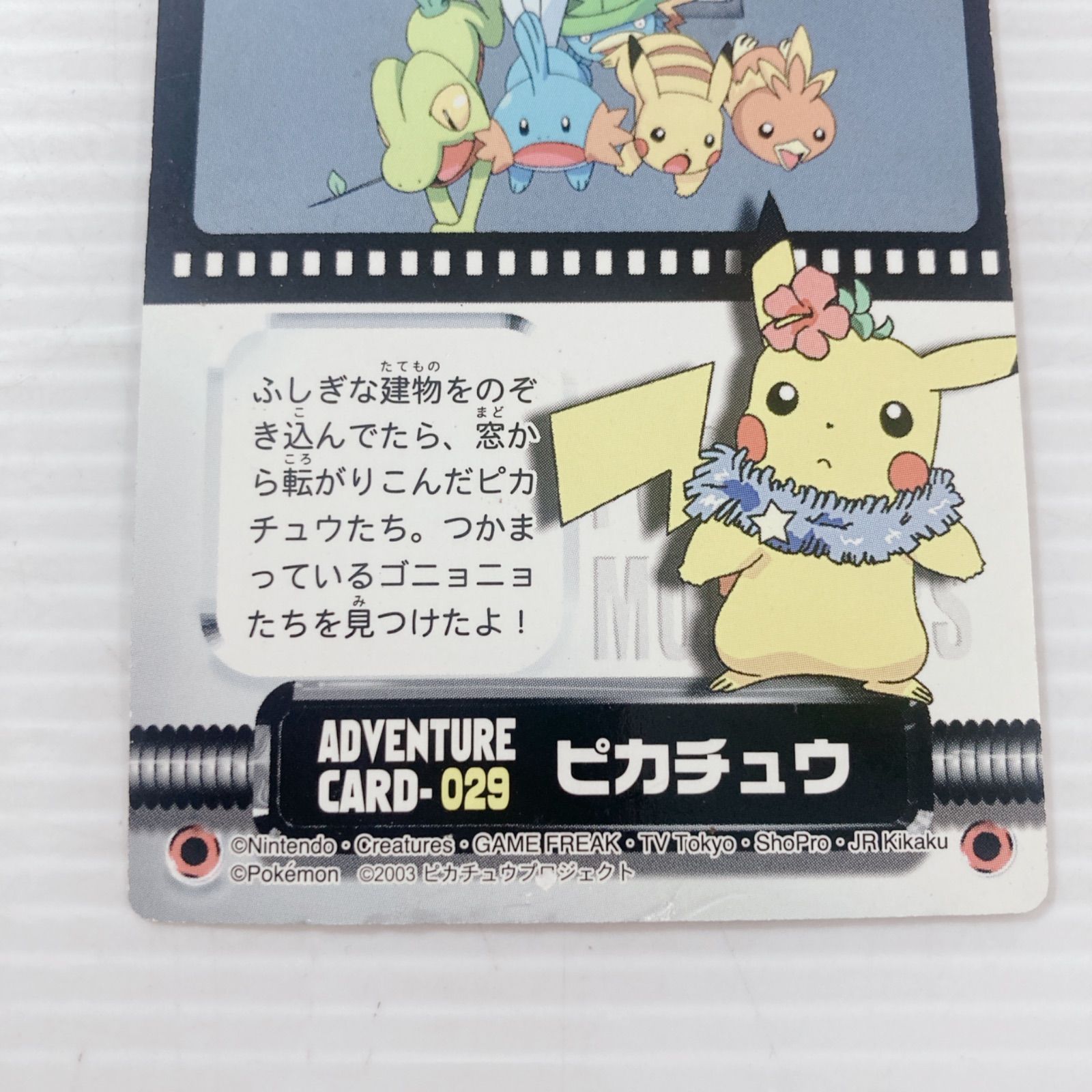 ポケットモンスター ポケモンカードダス ずかん アドベンチャーカード 