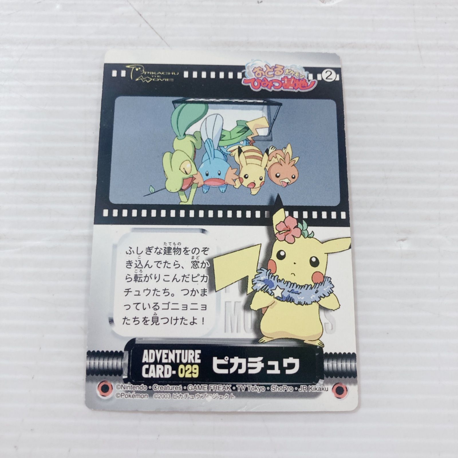 ポケットモンスター ポケモンカードダス ずかん アドベンチャーカード 