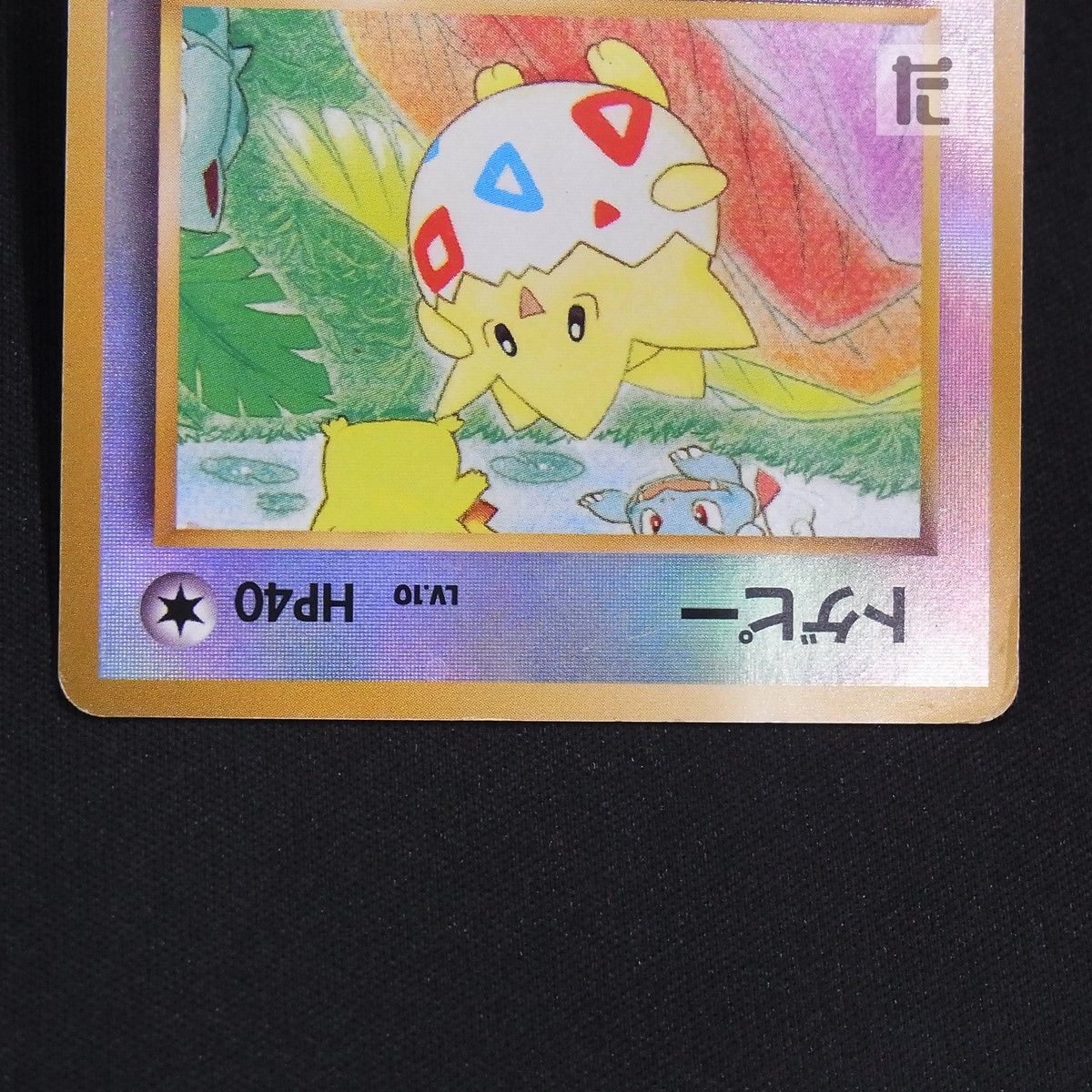 トゲピー LV.10 サザンアイランド / TA245557 - メルカリ