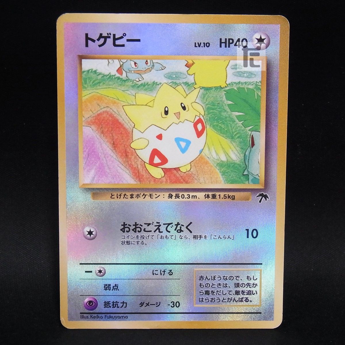 トゲピー LV.10 サザンアイランド / TA245557 - メルカリ