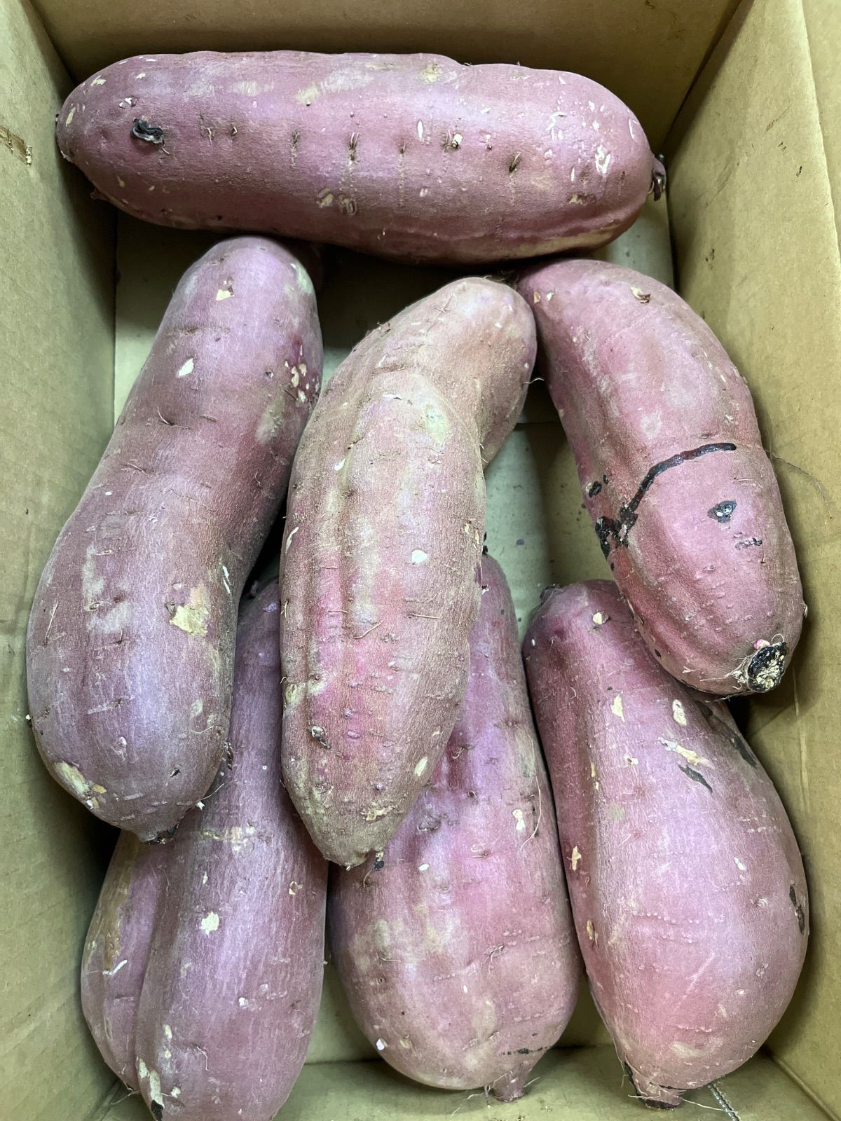 紅はるか 10kg 5kg入り2箱分 特2Lサイズ 茨城県産 さつまいも さつま芋