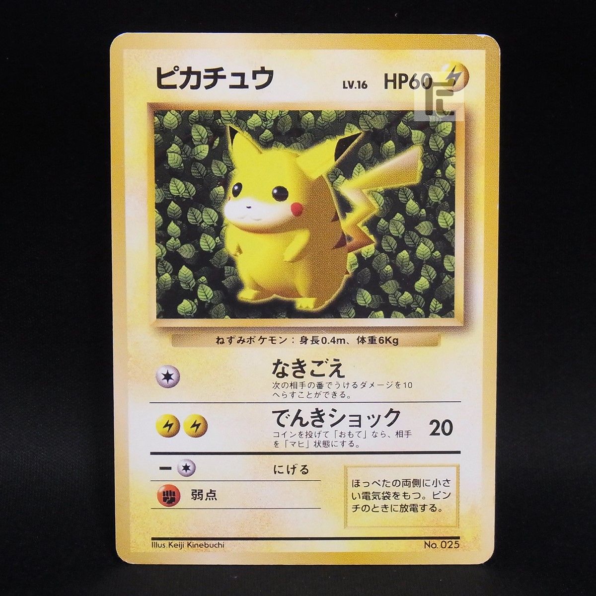 ピカチュウ LV.16 すぐわかるポケモンカードの遊びかた / TA245570 
