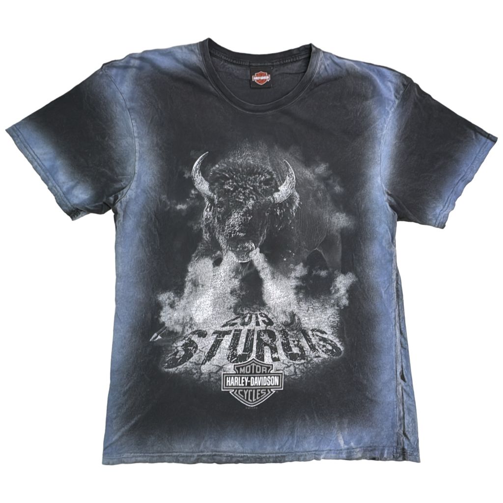 HARLEY DAVIDSON ハーレーダビッドソン バッファロー タイダイTシャツ 