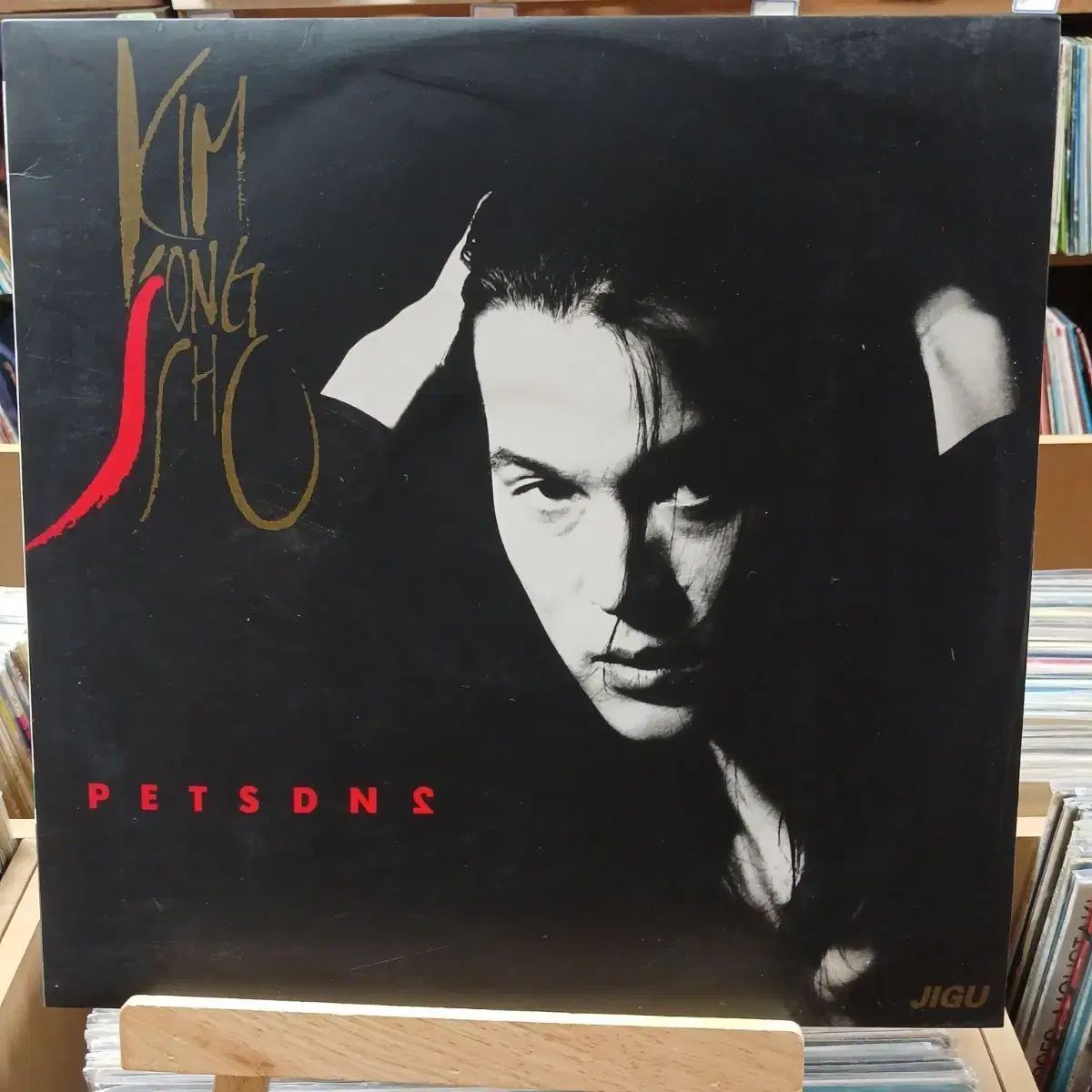 行こう 早い キム・ジョンソ 1 家 Petsdns JIGU LP 記録