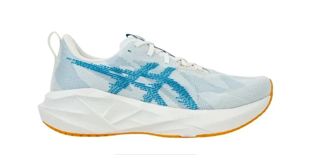 未開封 新品 asics アシックス Nova BLAST 5 ウィンター メンズ 290mm