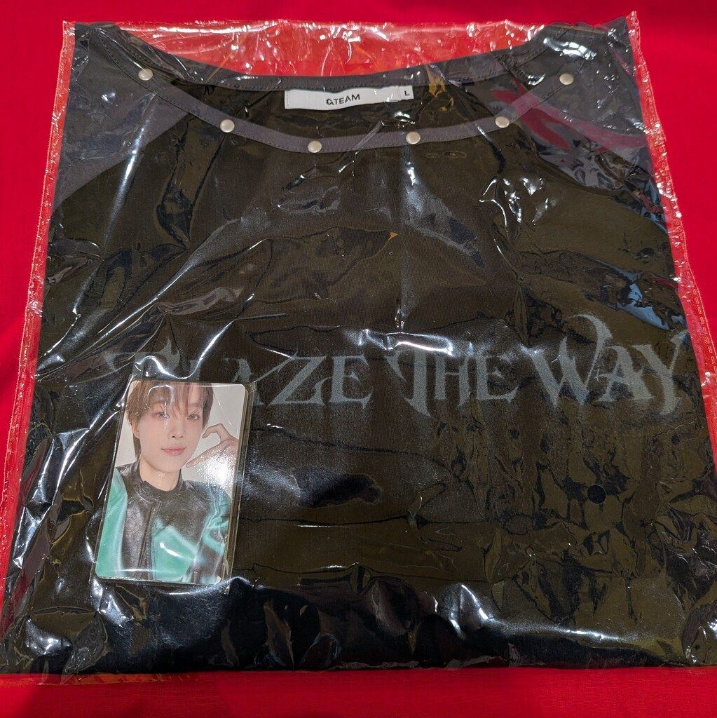 &TEAM 2026 BLAZE THE WAY MD 長袖ラグランTシャツ L