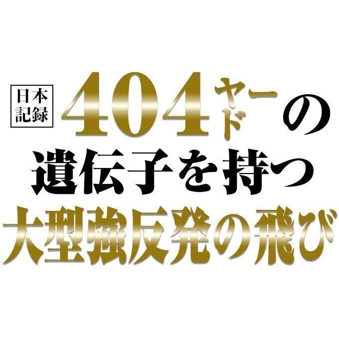 【新品】ヘッドカバーあり 飛ぶドライバー ワークスゴルフ ゴルフ クラブ ドライバー メンズ 46インチ ルール適合 ワイルドマキシマックス USTマミヤ V-SPEC α-4 シャフト仕様 9.5度 / 10.5度 R / SR / S