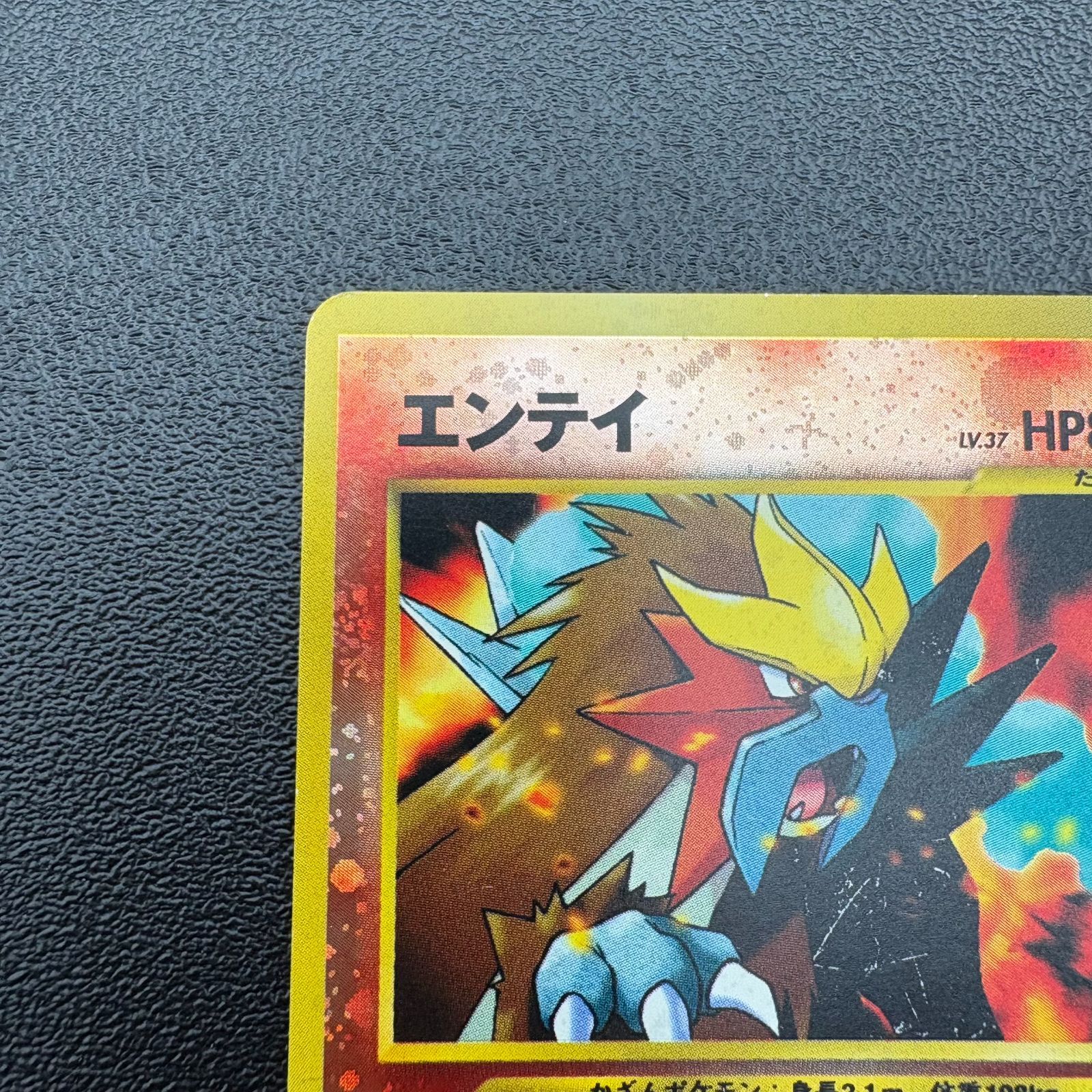 エンテイ LV.37 HP80 No.244 プレミアムファイル2 プロモ ポケモン 