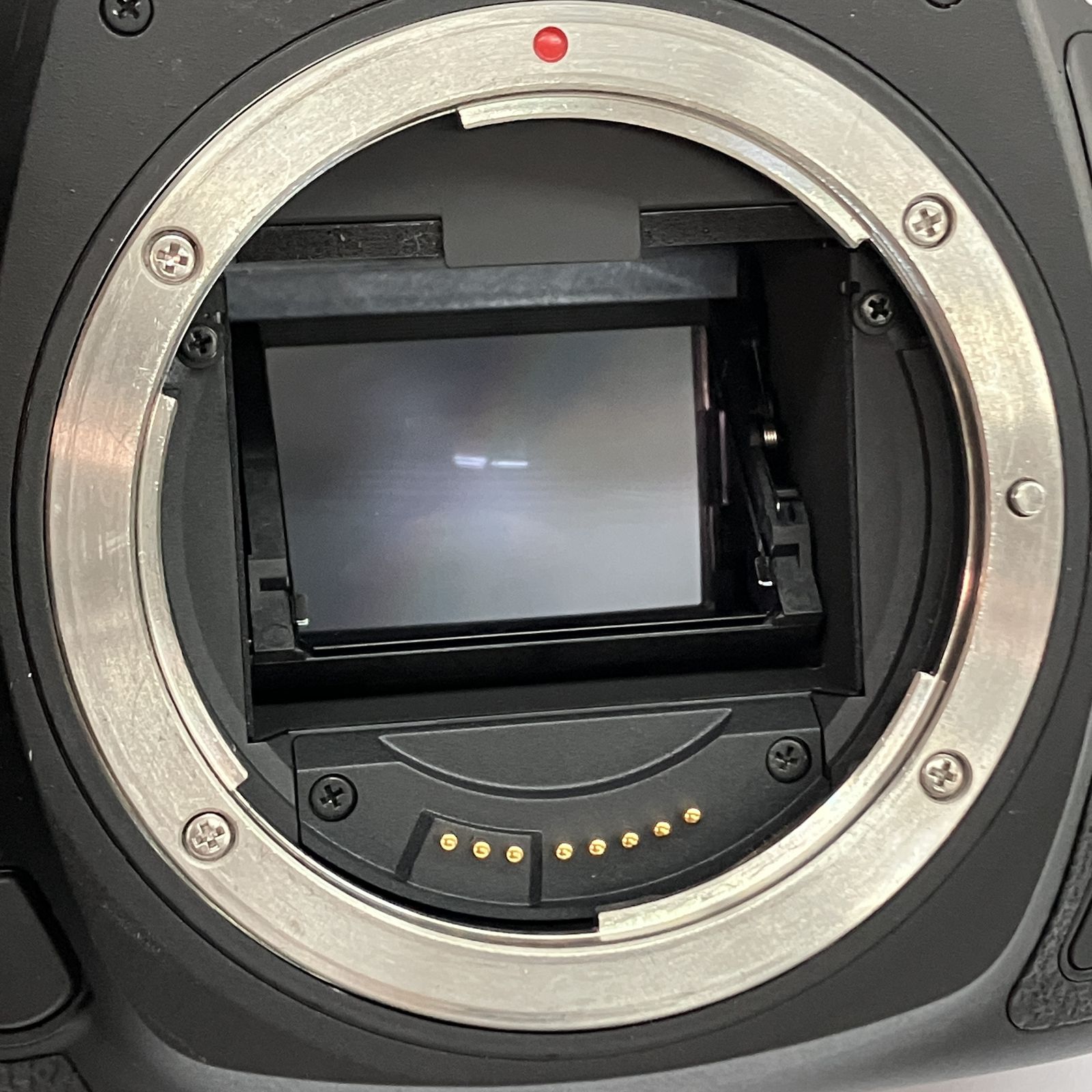Canon EOS 5D Mark IV DS126601 ボディ デジタル一眼レフカメラ