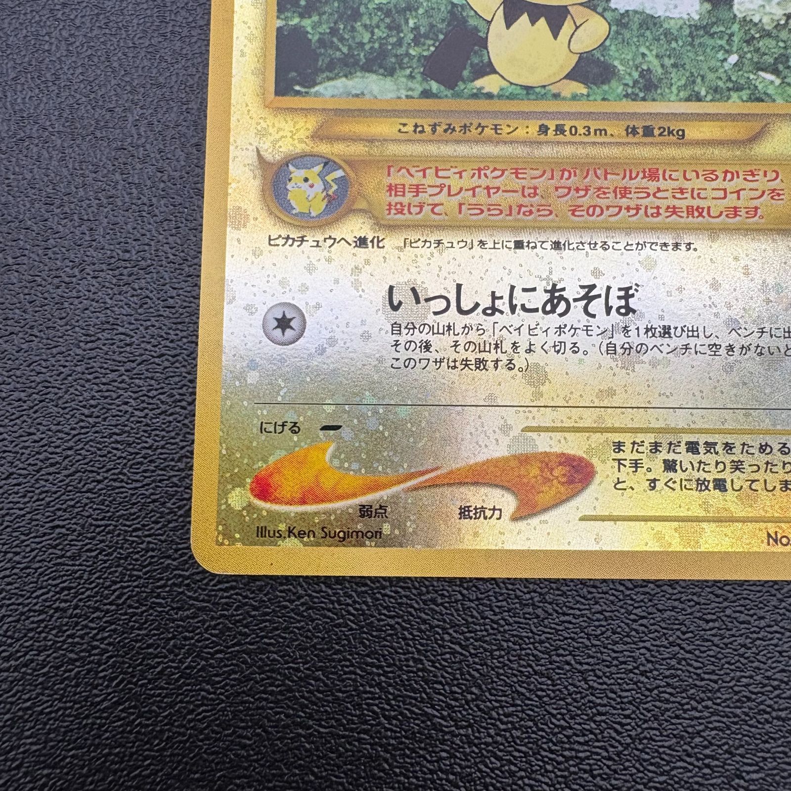 ピチュー LV.4 HP30 No.172 プレミアムファイル2 プロモ ポケモン